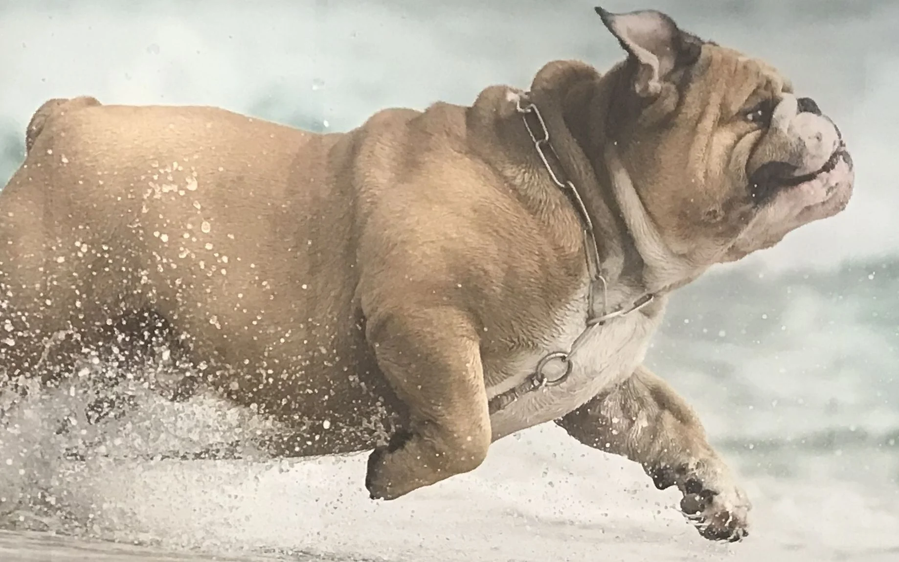 Outdoor playground with wooden fence and mural at The Rovervelt